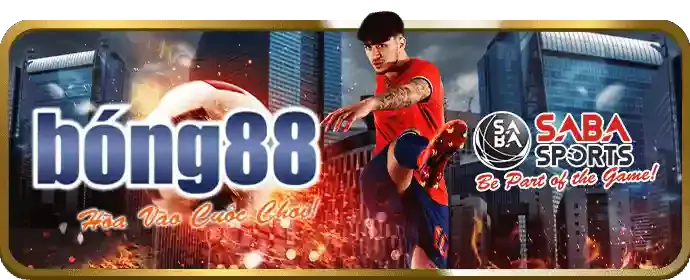 Hướng dẫn an toàn cá cược trực tuyến